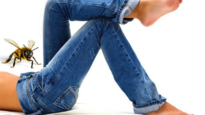 Cho ong chích vào "của quý" để nghiên cứu khoa học - Ảnh minh họa: citr 