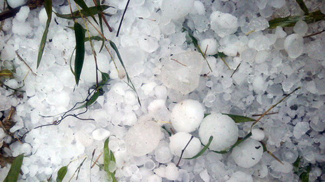 Những viên đá lớn dồn thành đống sau trận mưa đá kèm gió lốc chiều 1.4 tại các xã Thượng Phùng, Xín Cái, H.Mèo Vạc, tỉnh Hà Giang - Ảnh: Quỳnh Lưu 