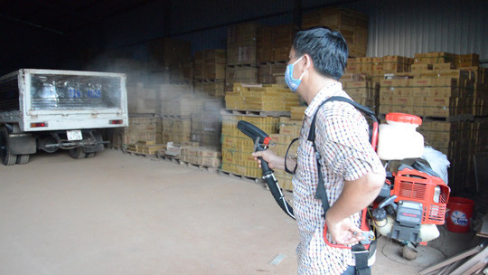 Diệt muỗi để ngăn ngừa dịch bệnh