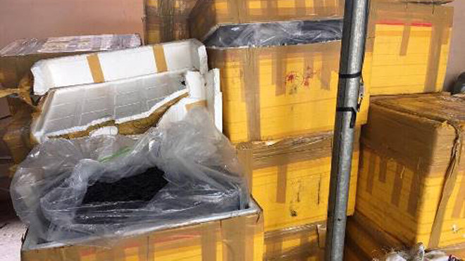 960 kg đỉa khô được đựng trong các thùng xốp bị thu giữ. Ảnh: Minh Phong/VnExpress