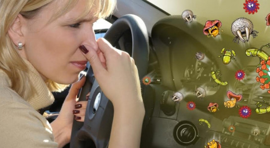 Xe hơi cũng là nguồn lây nhiễm bệnh