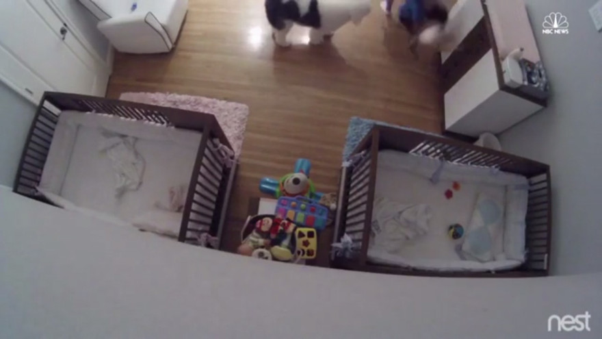 Anh 9 tuổi dũng cảm đỡ em bé rơi từ trên bàn trong chớp mắt