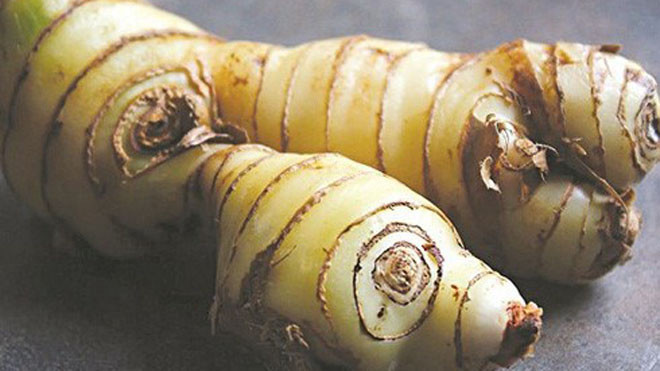 Bài thuốc từ củ riềng chữa nhiều bệnh 