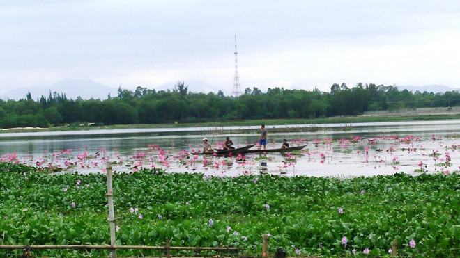 Đi bắt ốc, hãi hùng phát hiện thi thể trôi sông