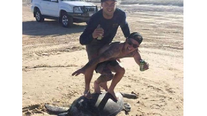 Hành động bị coi là “ngu ngốc” và “vô giáo dục” của hai du khách. Ảnh: Facebook.