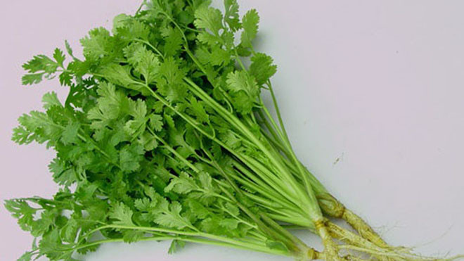 Không phải ai cũng có thể ăn được rau mùi. 