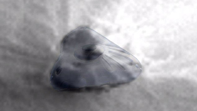 Hình ảnh được cho là tàu mẹ đáp xuống sao Hỏa (Ảnh cắt từ video)