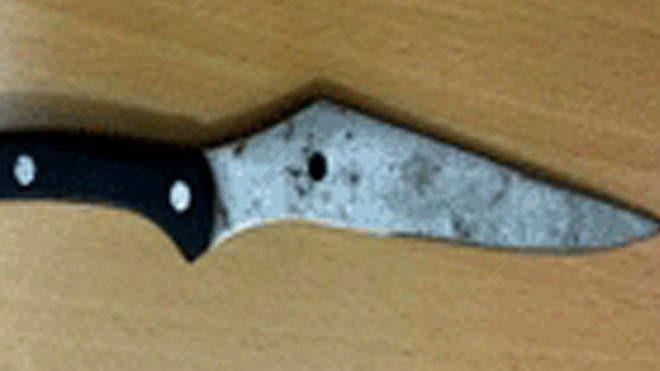 Con dao gây án. Ảnh: H.P.