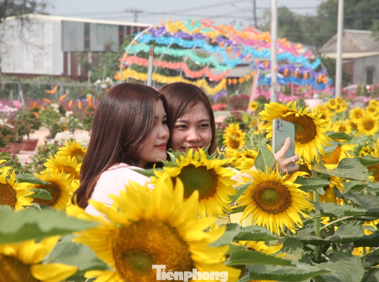 Thiên đường hoa Bình Dương ‘đốn tim’ du khách