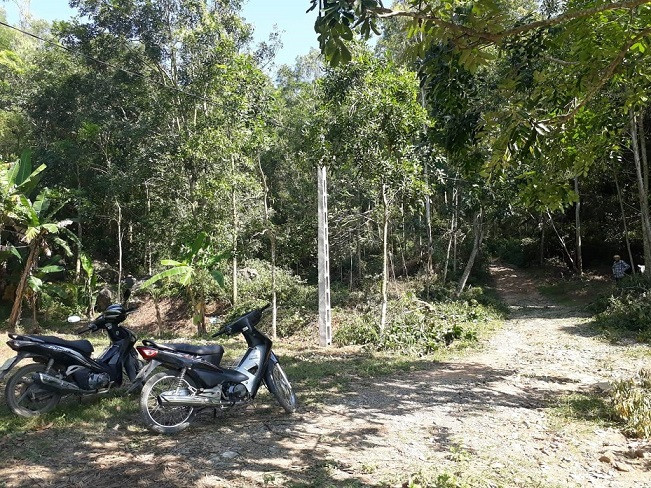 Hiện trường thi công đường điện