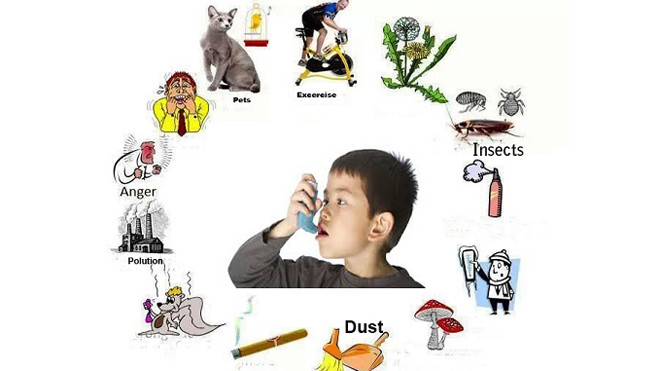 Các yếu tố làm khởi phát cơn hen ở trẻ. Ảnh: imh.