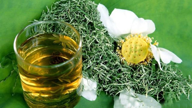 Công dụng chữa bệnh và làm đẹp hiệu quả của lá sen