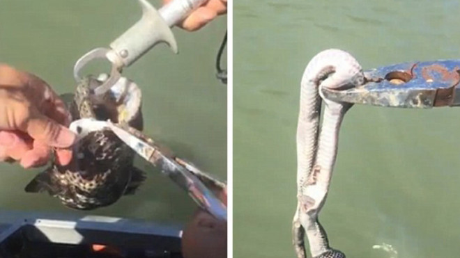 Ảnh cắt từ clip