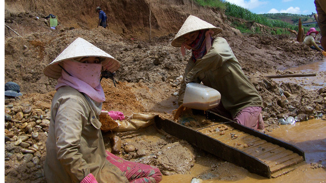 Khai thác vàng trái phép