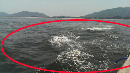 Vệt đen nằm sát bờ biển xã Xuân Thắng, xã Kỳ Xuân, rộng khoảng 200m, chiều dài chưa xác định (Ảnh do PCT tỉnh Hà Tĩnh cung cấp)