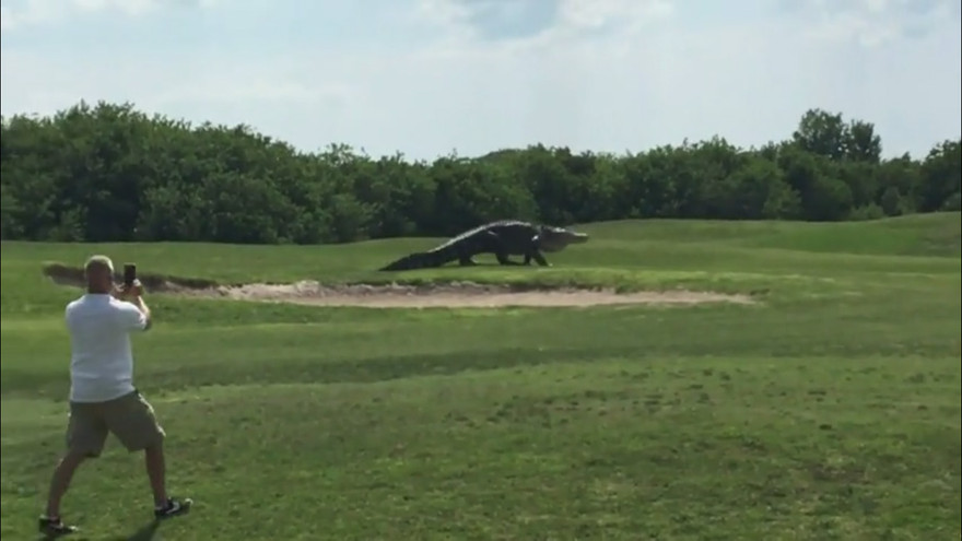 Hình ảnh cắt từ clip