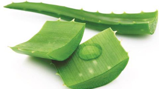 Nha đam kết hợp với nước sâm tạo nên vị thanh mát rất ngon