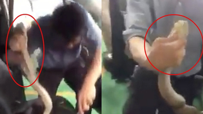 Hình ảnh cắt từ clip