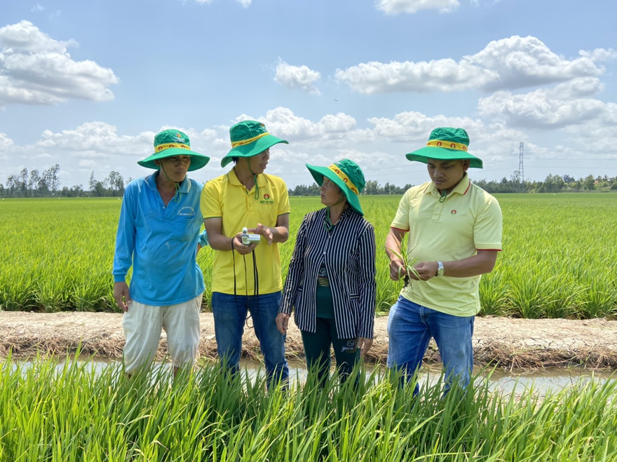 Cán bộ kỹ thuật Đạm Cà Mau hướng dẫn cho bà con vùng hạn mặn