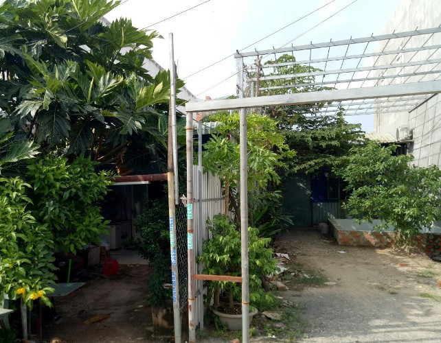 Chủ tịch phường xác nhận sai hiện trạng đất, người dân dính 'quả đắng'