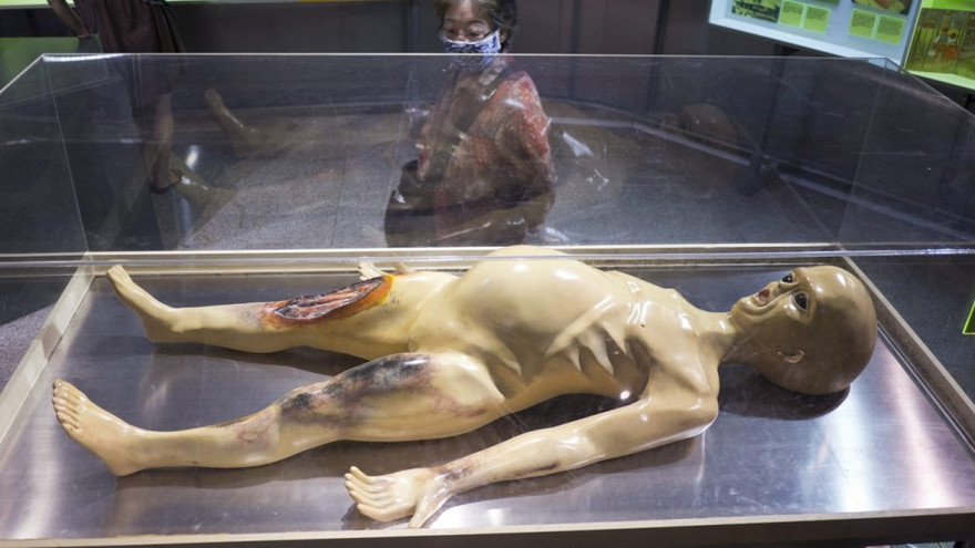 Một mô hình người ngoài hành tinh.