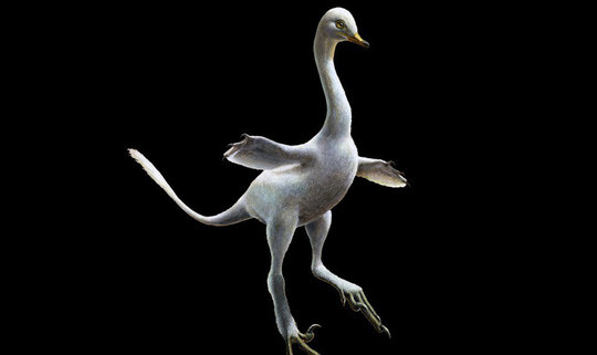 Ảnh phục dựng của con khủng long sở hữu thân hình thiên nga, mỏ vịt, răng cá sấu, chân đà điểu và những móng tay sát thủ - Ảnh: AP