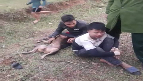 Hai "cẩu tặc" bị người dân bắt giữ và vây đánh.