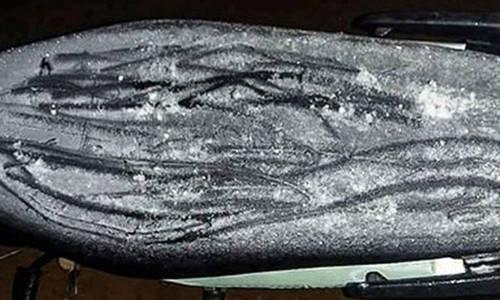 Một lớp băng mỏng ngưng tụ trên yên xe.