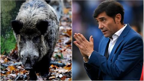 Những tai nạn xe cộ hy hữu của sao sân cỏ