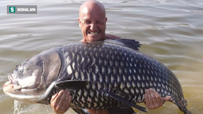 Ảnh: Palmtreelagoon