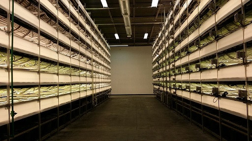 Các trang trại thẳng đứng đáng chú ý trên thế giới