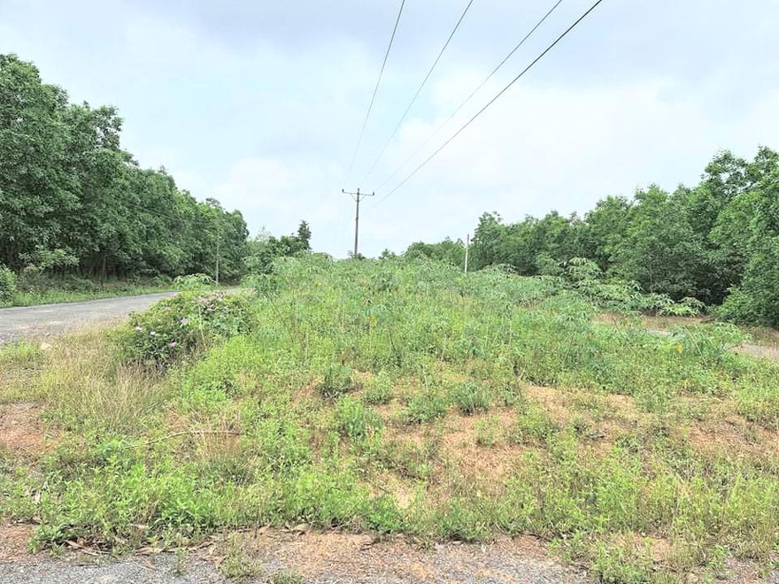 Khu tái định cư hàng chục tỷ đồng ở Quảng Trị để... hoang