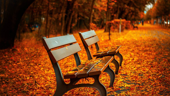 6 sở thích giúp đánh bại stress