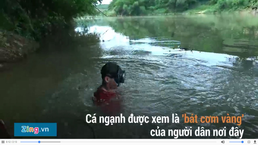 Lặn sâu 15 mét bắt cá ngạnh bằng tay không