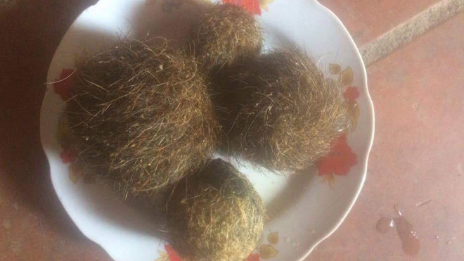 4 di vật nghi là cát lợn quý hiếm.