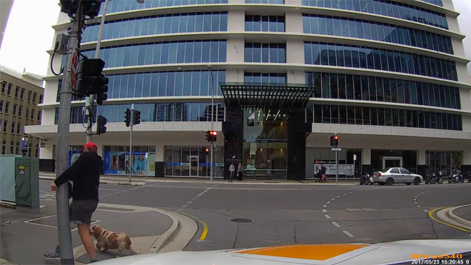 Clip hài hước người đi bộ mải mắng tài xế nên va vào cột đèn 