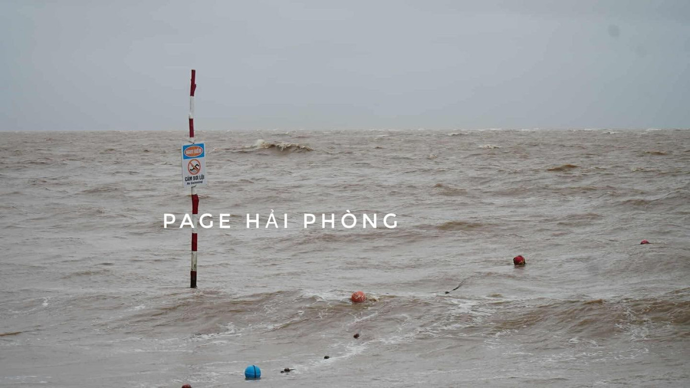 (Ảnh: Page Hải Phòng) 520435660-1147452767411173-4813474075662392012-n.jpg