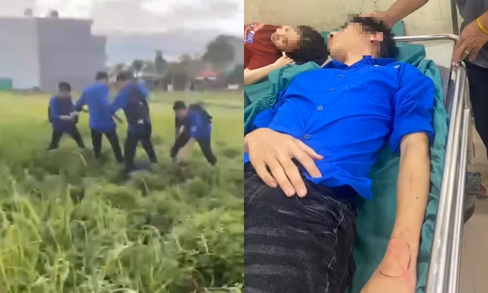 collage-71.png