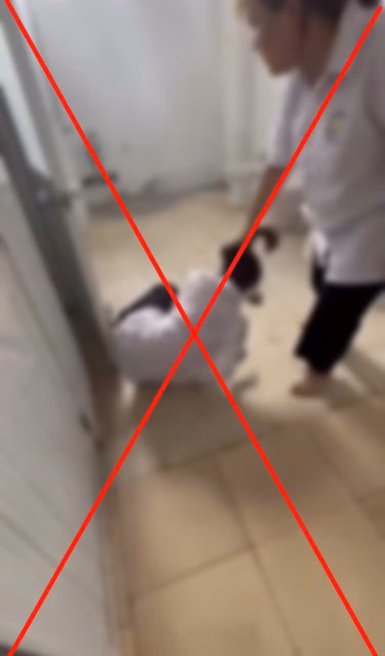 706277439-1307840464809837-4156031776479464168-n.jpg