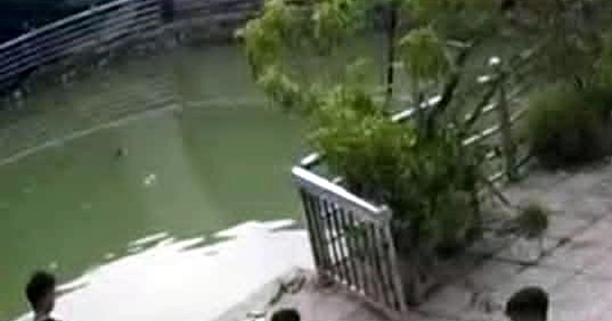 Khu vực xảy ra vụ việc đau lòng. (Ảnh từ camera an ninh) 9.jpg