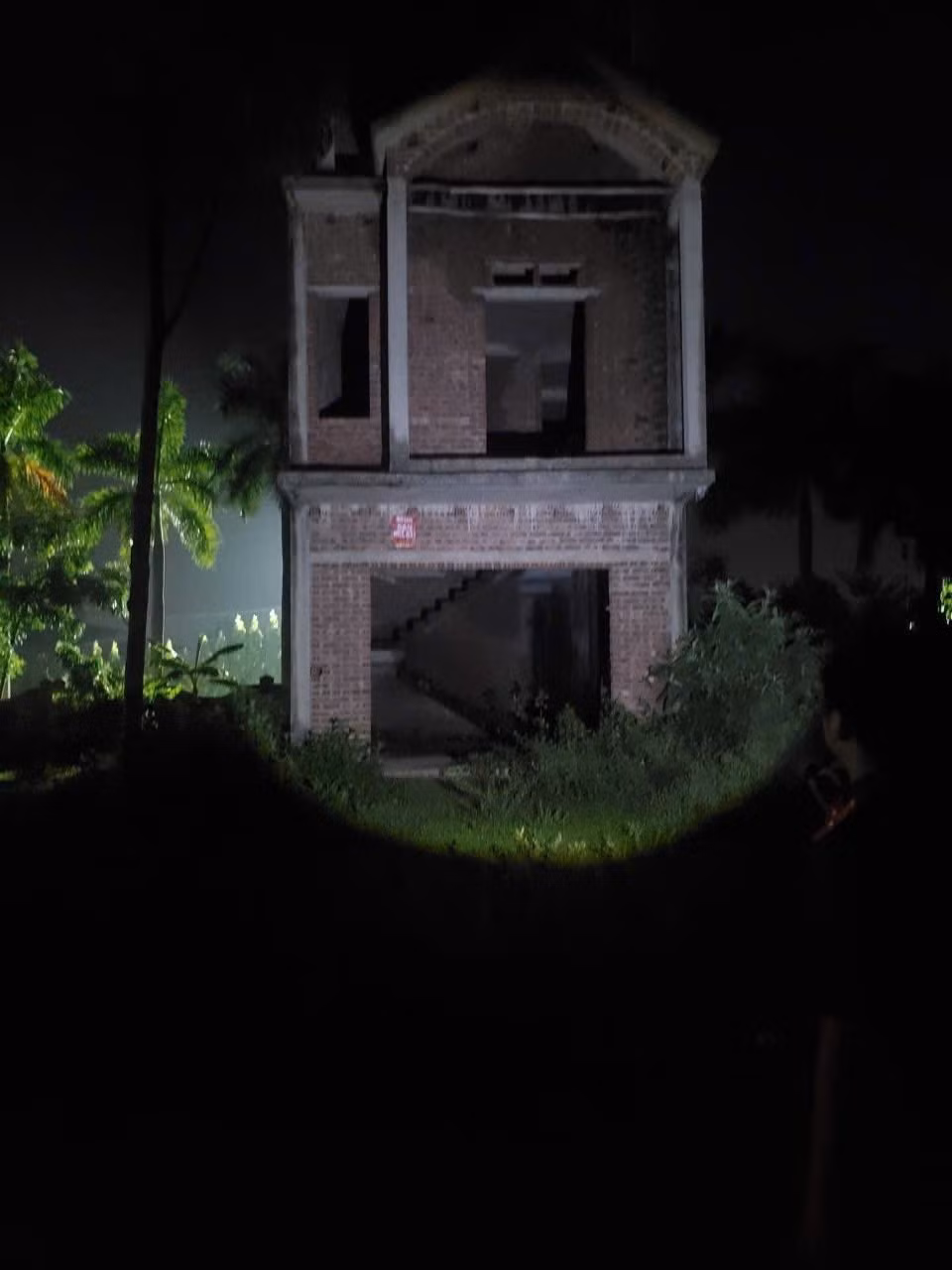 565088498-1134936555433563-9192030450223806242-n.jpg