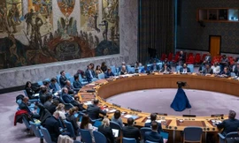 Estonia đề nghị triệu tập khẩn Hội đồng Bảo an Liên Hợp Quốc sau vụ máy bay xâm nhập không phận