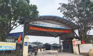 Bộ GD&ĐT yêu cầu kiểm tra suất ăn học đường trên toàn quốc