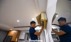 Hốt bạc với nghề 'ở nhà người khác' nhiều hơn nhà mình