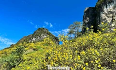 Tới Cao Bằng mùa này, du khách thốt lên: 'Đứng góc nào cũng có ảnh đẹp'