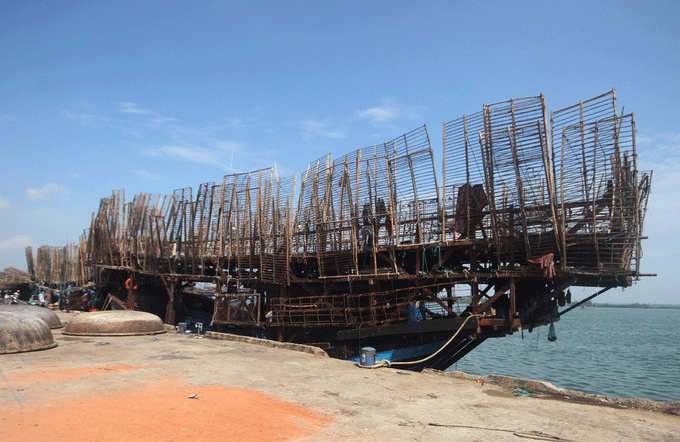 Ngày 21/4, nhiều tàu câu mực ngư dân huyện Núi Thành, Quảng Nam cập cảng An Hòa, xã Tam Giang bán mực.