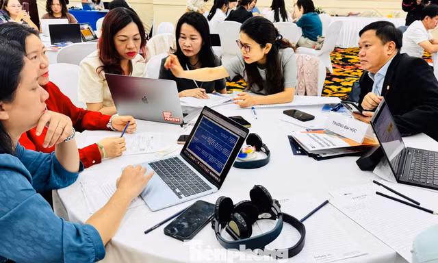 Hơn 64% giáo viên chưa từng sử dụng khung năng lực giáo viên ngoại ngữ