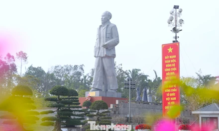 Rực rỡ cờ hoa trên quê hương Bác mừng Đại hội Đảng lần thứ XIV 