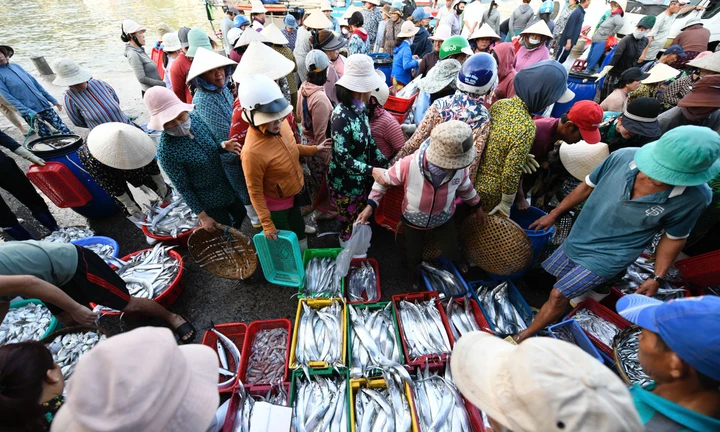 Đông nghịt người đón 'lộc biển' ở bến cá Vĩnh Trường lúc rạng sáng