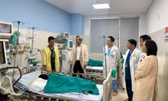 Thần tốc đưa thuốc giải độc từ Châu Âu về Đà Nẵng cứu bệnh nhi